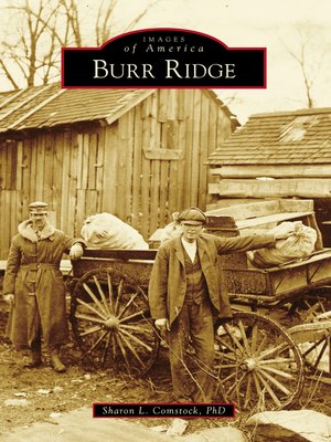 cover image of Burr Ridge